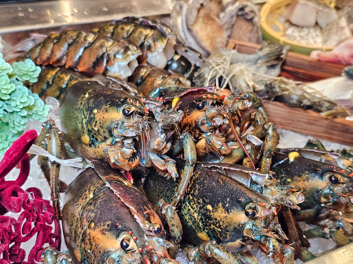 Google 評論平均4.8高分，無菜單鐵板燒網紅名店終於來高雄開出難得的第二家店了！人氣套餐$1,890堅持不漲價，活龍蝦、北海道生食級干貝、南非鮮猛活鮑魚通通吃的到｜明水然