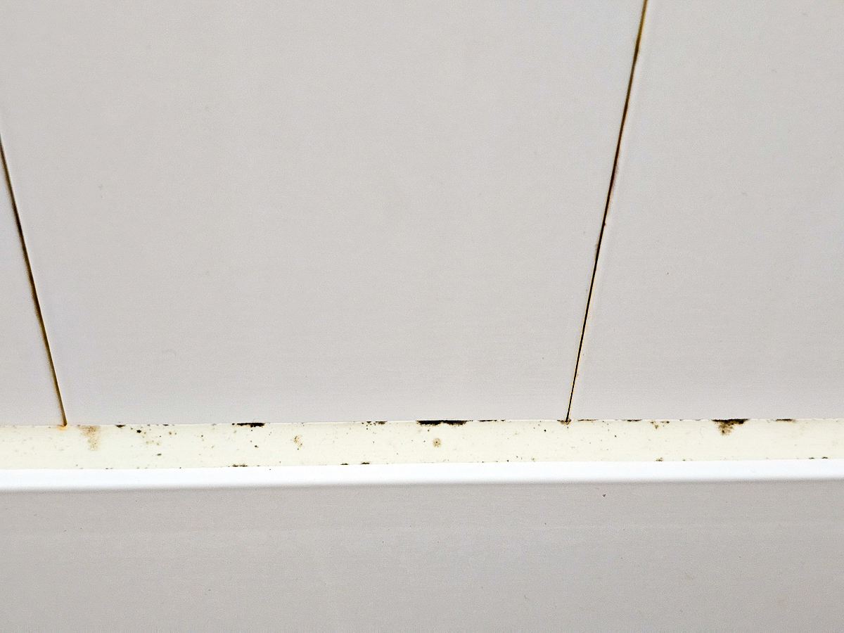 itai_itai痛經女子|日韓選物社團 貳五_10團購物心得分享,小資女的紓壓購物基地! - 第19張圖 itai_itai痛經女子|日韓選物社團 貳五_10團購物心得分享,小資女的紓壓購物基地!