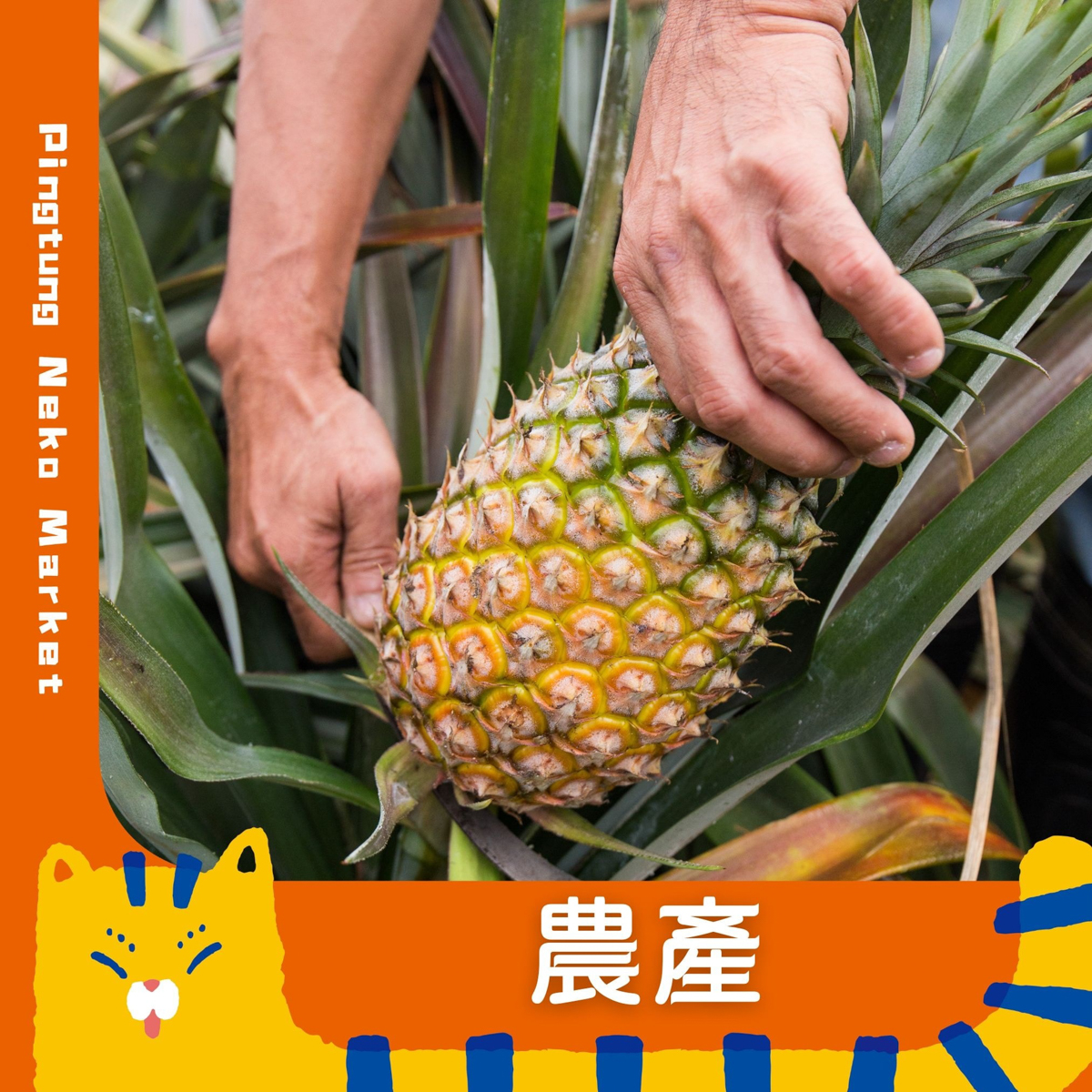 屏東必逛主題市集｜NEKO MARKET 開逛啦！美食×文創×手作DIY，還有機會抽大獎！寵物友善鐵道市集