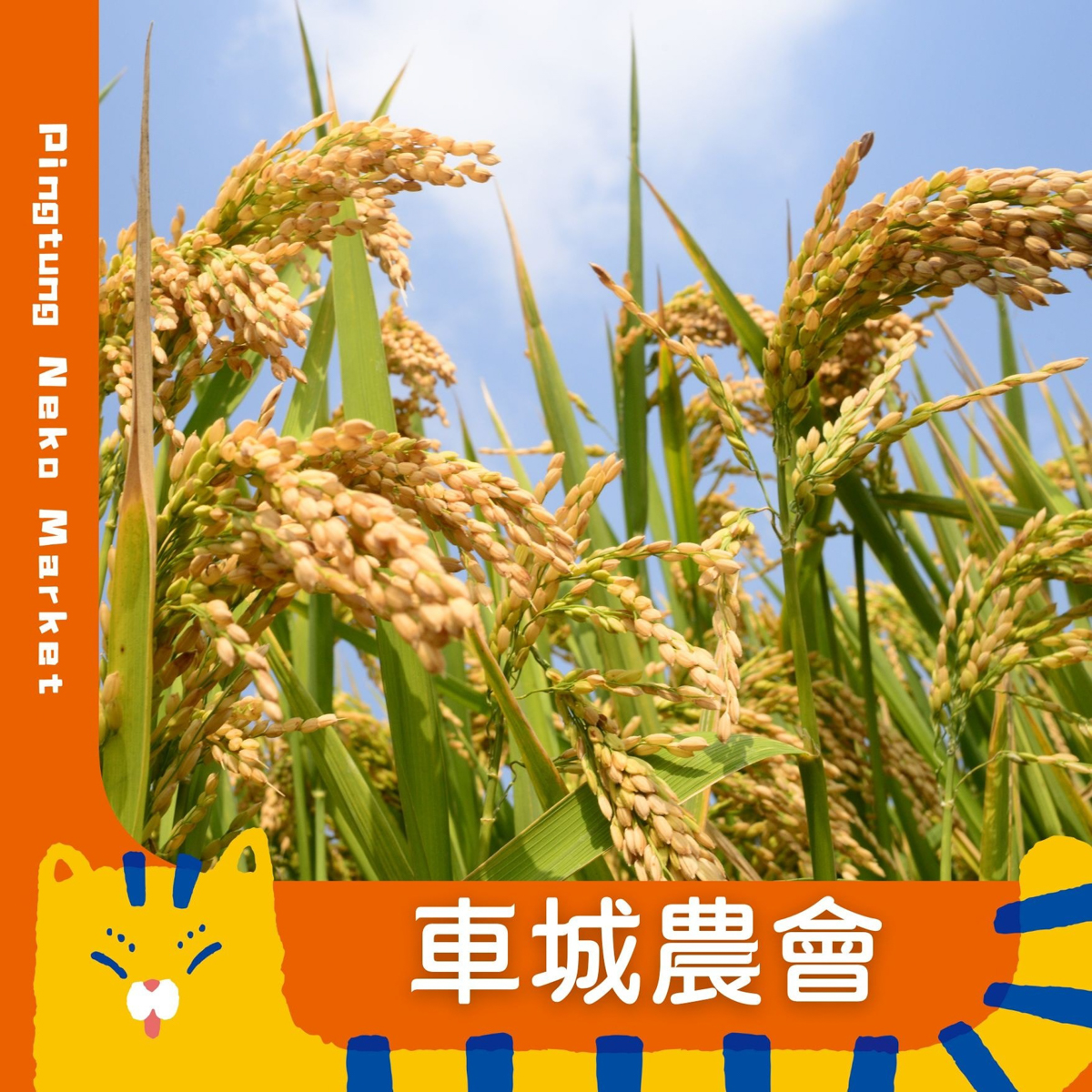 屏東必逛主題市集｜NEKO MARKET 開逛啦！美食×文創×手作DIY，還有機會抽大獎！寵物友善鐵道市集