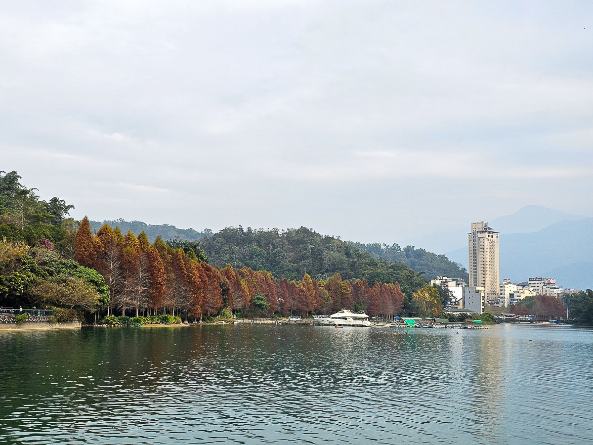 日月潭住宿｜大淶閣飯店 水社碼頭湖景房，騎最美環湖自行車道賞落羽松，一泊二食海陸火鍋饗宴