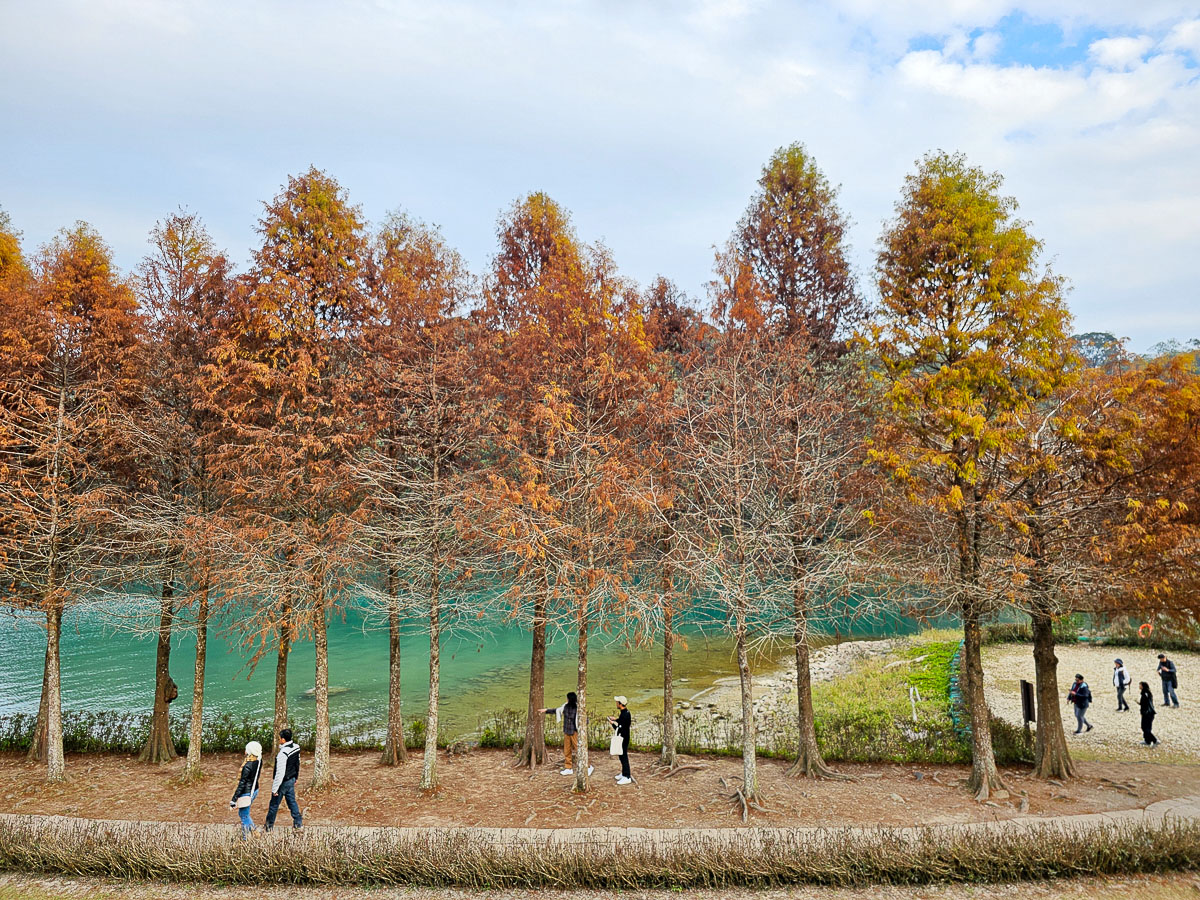 日月潭住宿｜大淶閣飯店 水社碼頭湖景房，騎最美環湖自行車道賞落羽松，一泊二食海陸火鍋饗宴
