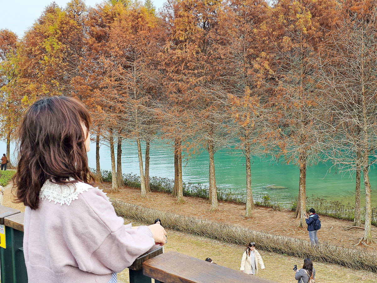 日月潭住宿｜大淶閣飯店 水社碼頭湖景房，騎最美環湖自行車道賞落羽松，一泊二食海陸火鍋饗宴