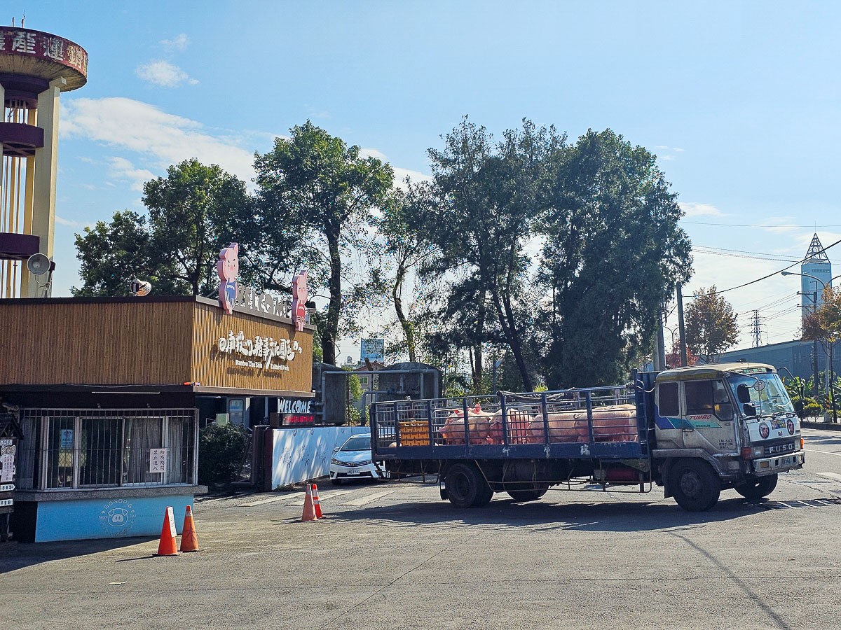 名間親子景點｜南投豬事文化園區&名間親子生態園區 免門票好停車，紫南宮順遊景點