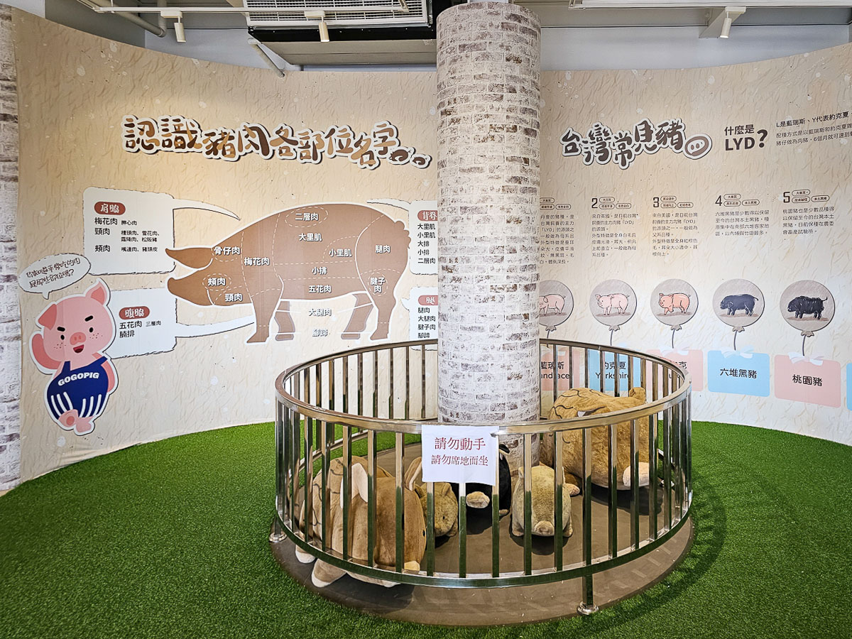 名間親子景點｜南投豬事文化園區&名間親子生態園區 免門票好停車，紫南宮順遊景點
