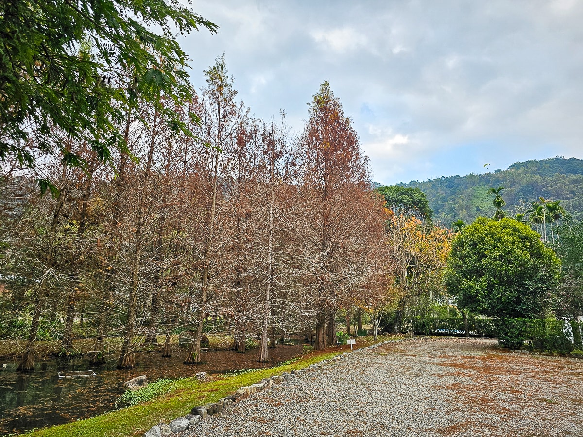 南投埔里|慎重開華莊園民宿 3000坪落羽松與楓葉庭院,秒飛歐洲的森林系渡假民宿 - 第3張圖 南投埔里|慎重開華莊園民宿 3000坪落羽松與楓葉庭院,秒飛歐洲的森林系渡假民宿