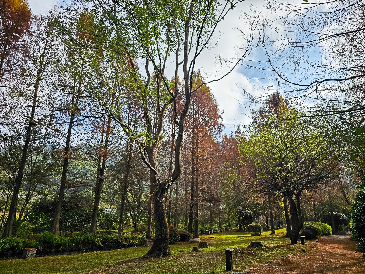 南投埔里|慎重開華莊園民宿 3000坪落羽松與楓葉庭院,秒飛歐洲的森林系渡假民宿 - 第4張圖 南投埔里|慎重開華莊園民宿 3000坪落羽松與楓葉庭院,秒飛歐洲的森林系渡假民宿