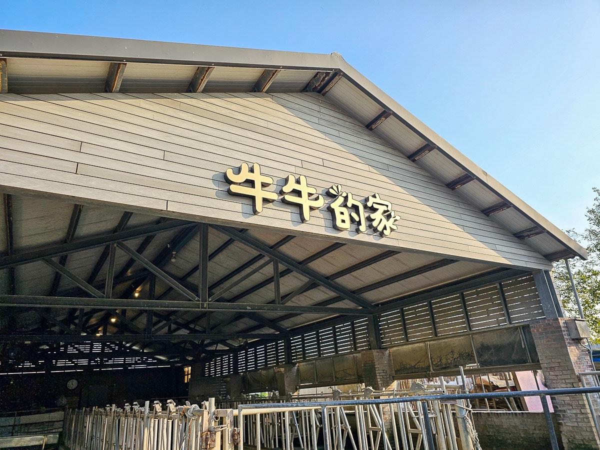 免門票玩整天!千巧谷牛樂園牧場|餵牛牛+落羽松+魔術表演,一站玩好玩滿,雲林免費景點 - 第12張圖 千巧谷