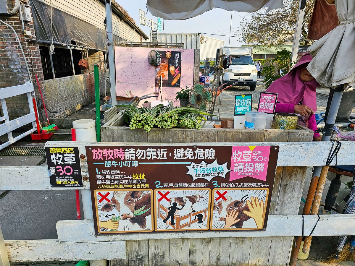 免門票玩整天!千巧谷牛樂園牧場|餵牛牛+落羽松+魔術表演,一站玩好玩滿,雲林免費景點 - 第15張圖 千巧谷
