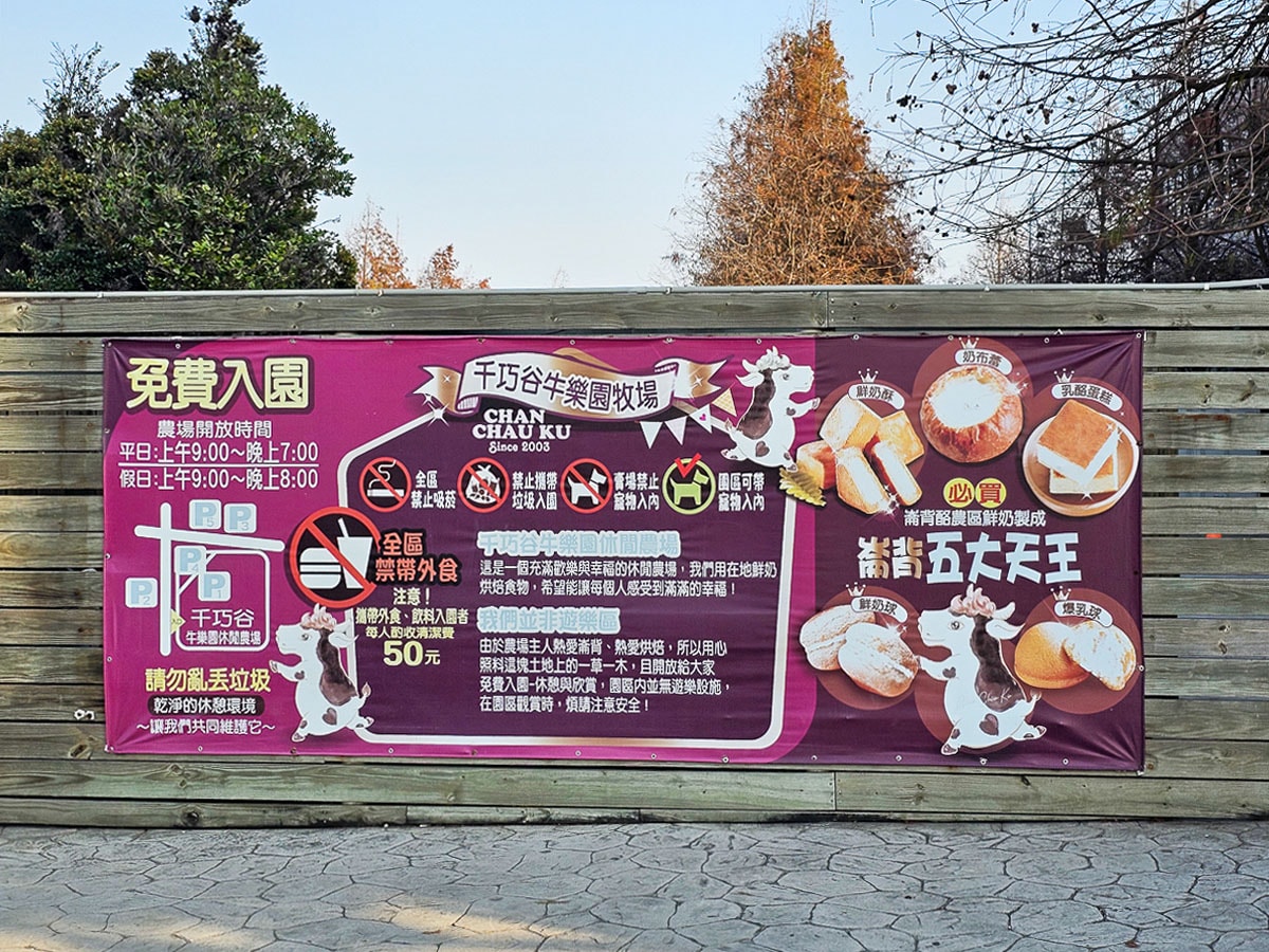 免門票玩整天!千巧谷牛樂園牧場|餵牛牛+落羽松+魔術表演,一站玩好玩滿,雲林免費景點 - 第4張圖 千巧谷