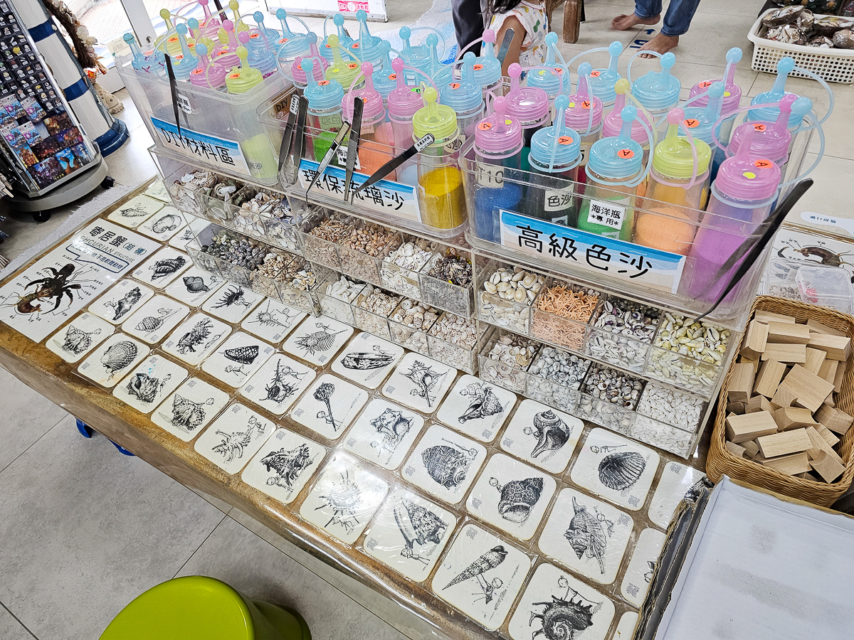 墾丁室內景點|貝殼美術館 各式珍稀貝殼大開眼界!免費參觀、DIY體驗、必買紀念品一次玩 - 第14張圖 貝殼美術館