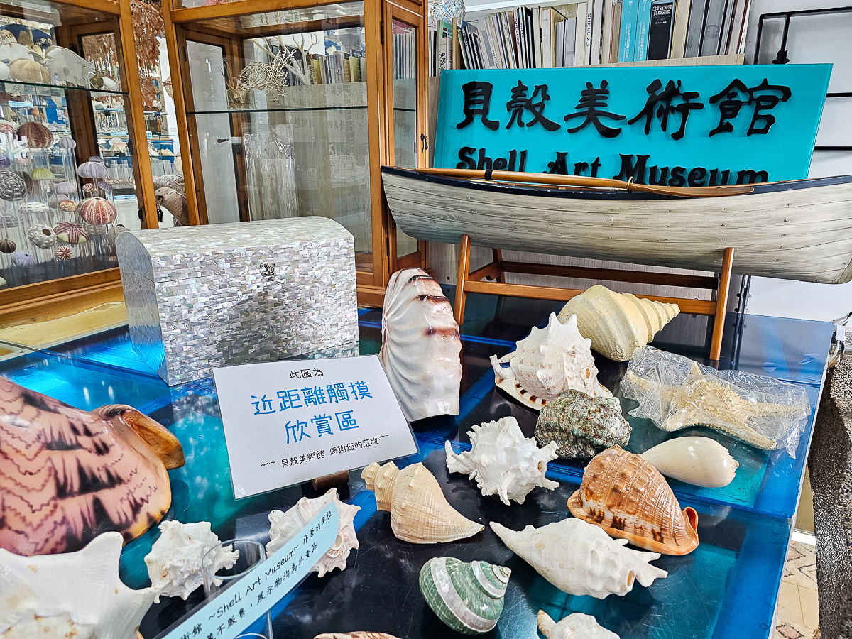 墾丁室內景點|貝殼美術館 各式珍稀貝殼大開眼界!免費參觀、DIY體驗、必買紀念品一次玩 - 第25張圖 貝殼美術館