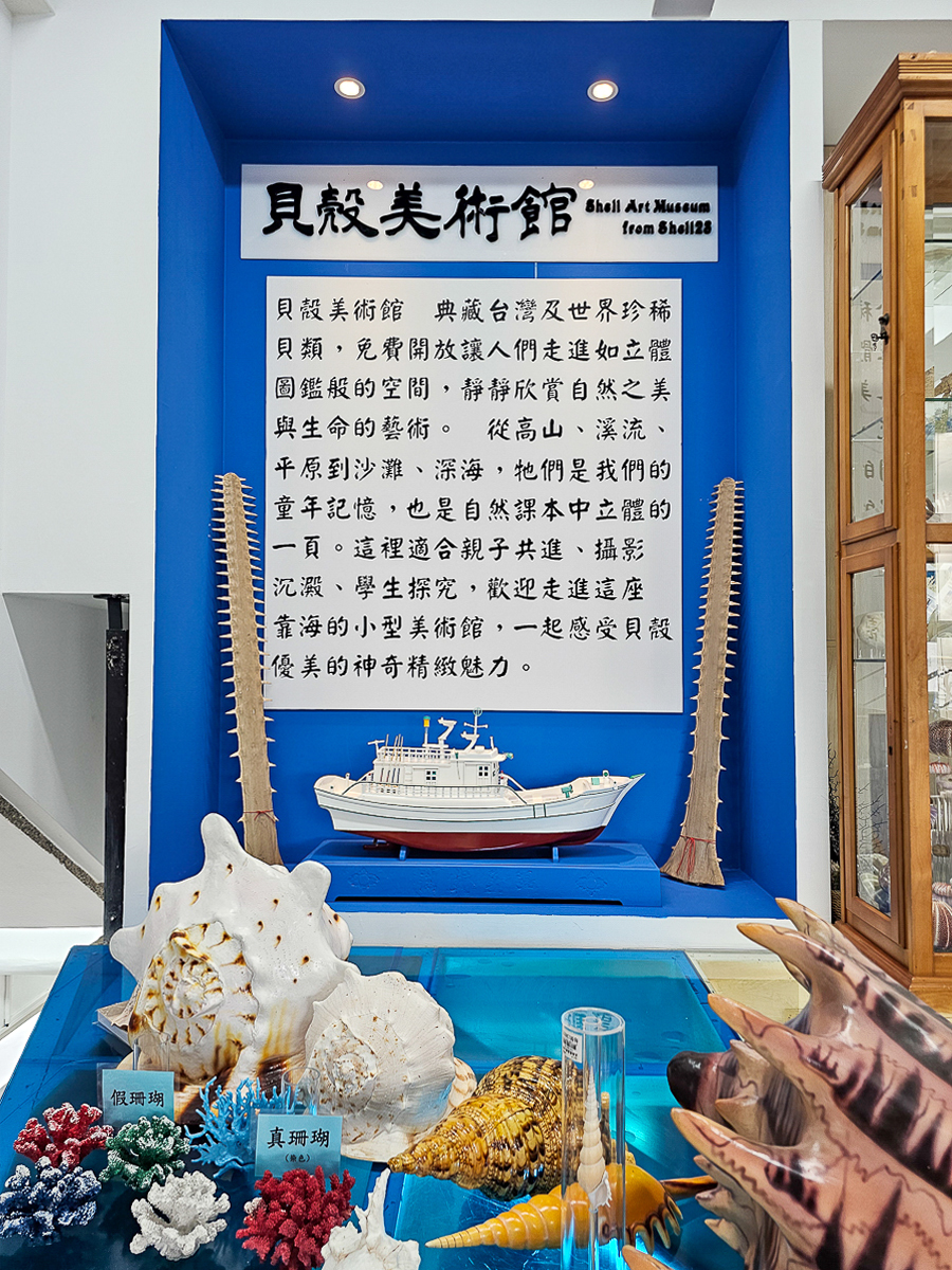 墾丁室內景點|貝殼美術館 各式珍稀貝殼大開眼界!免費參觀、DIY體驗、必買紀念品一次玩 - 第24張圖 貝殼美術館