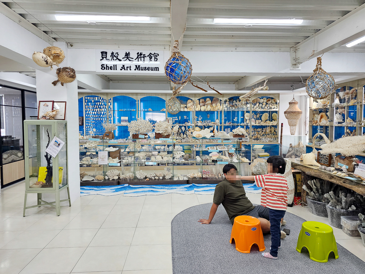墾丁室內景點|貝殼美術館 各式珍稀貝殼大開眼界!免費參觀、DIY體驗、必買紀念品一次玩 - 第27張圖 貝殼美術館