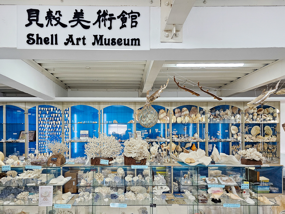 墾丁室內景點|貝殼美術館 各式珍稀貝殼大開眼界!免費參觀、DIY體驗、必買紀念品一次玩 - 第28張圖 貝殼美術館