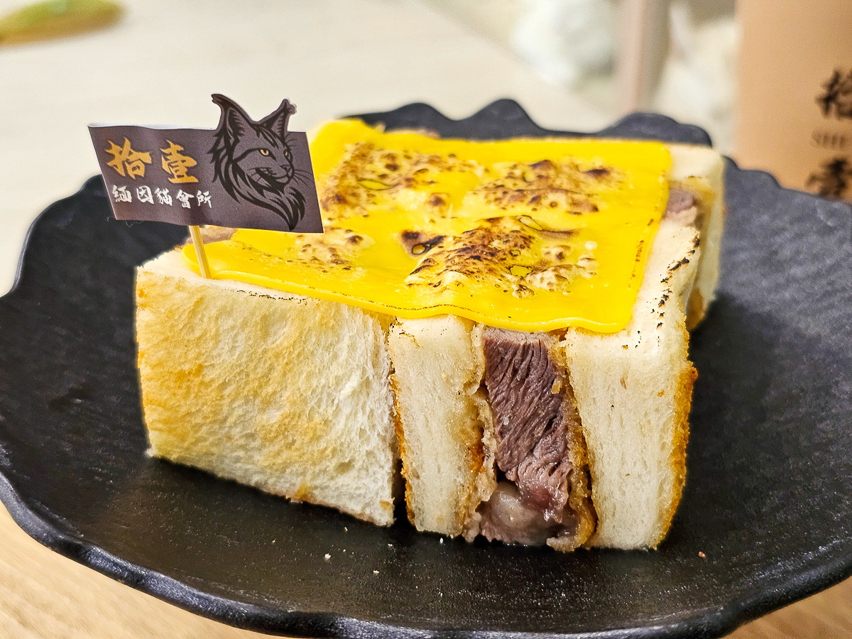 高雄貓咪咖啡廳|拾壹緬因貓會所 被超萌緬因貓包圍!必吃厚切炸牛排三明治 - 第16張圖 高雄貓咪咖啡廳|拾壹緬因貓會所 被超萌緬因貓包圍!必吃厚切炸牛排三明治